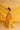 Amber Printed Gathered Lehenga Set sideview